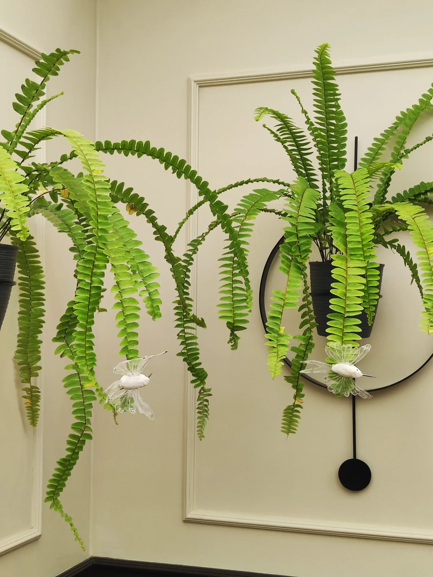 Proyecto C1 - imagen 8